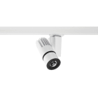 CONCORD - Kohdevalaisin Beacon Projector - 2055946 35W 4K LS-3 WHT