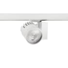 CONCORD - Kohdevalaisin Beacon XXL - 2093035 48W 4K 21° L3 him VA