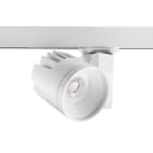 CONCORD - Kohdevalaisin Beacon XL LED - 2059707 33W 4K 50ast L3 VA