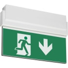TEKNOWARE EMERGENCY LIGHTING - Opastevalaisin Opas 80 - TWT8053WM 230VAC 20M ALAS