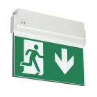 TEKNOWARE EMERGENCY LIGHTING - Opastevalaisin Opas 80 - TWS8092WM 230VAC 20M ALAS