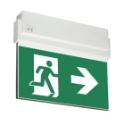 TEKNOWARE EMERGENCY LIGHTING - Opastevalaisin Opas 80 - TWS8092WA 230VAC 26M OIK/VAS