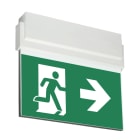 TEKNOWARE EMERGENCY LIGHTING - Opastevalaisin Opas 80 - TWT8051W 230VAC/DC 30M OIK/VAS