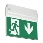 TEKNOWARE EMERGENCY LIGHTING - Opastevalaisin Opas 80 - TWS8092WA 230VAC 30M ALAS