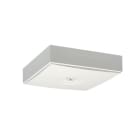 TEKNOWARE EMERGENCY LIGHTING - Linespot II turvavalaisin - TWT9971W 24-230VAC/DC IP44 YP