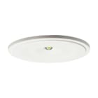TEKNOWARE EMERGENCY LIGHTING - Turvavalaisin Zonespot II - TWS0492WA 230VAC IP20 1H YP