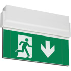 TEKNOWARE EMERGENCY LIGHTING - Opastevalaisin Opas 80 - Y8071W105 24-230VAC/DC 20M A