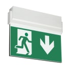 TEKNOWARE EMERGENCY LIGHTING - Opastevalaisin Opas 80 - Y8071W135 24-230VAC/DC 26M A