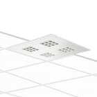 PERFORMANCE IN LIGHTING - Moduulivalaisin - AMIGO 36 25W 830 UGR<16
