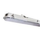 EXAKTOR - Tunnistinvalaisin - MAMBAm Ag L120 5000lm 840 RS