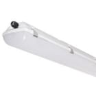 AIRAM - ATEX-valaisin - 1500 IP66 IK10 4900lm/840 PCO