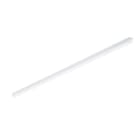 PHILIPS - Runkovalaisin - BN021C LED19S/830 L1200