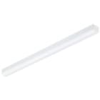 PHILIPS - Runkovalaisin - 6000LM 830 L1200 IP20 WIA