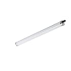 PHILIPS - Runkovalaisin - 5000LM 840 L1200 IP68 LJ. D