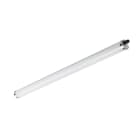 PHILIPS - Runkovalaisin - 7000LM 840 L1500 IP68 LJ. D