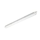 PHILIPS - Teollisuusvalaisin suljettu - 2,7-4,6kLM 840 L1200 IP66 3LJ