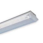 ENSTO - Kupu IG44 - KUIG4458K 58W KIRKAS L=1546