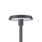 PHILIPS - Pylväsvalaisin - BDP260 LED69/740 DS50 4970lm