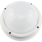 AIRAM - Seinä/kattovalaisin ulko - IP65 IK10 20W/840 PCO WH R