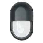 AIRAM - Seinä/kattovalaisin ulko - IP65 IK10 20W/840 PCO ANT Vert