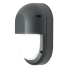 AIRAM - Seinävalaisin ulko Cestus - IP65 IK10 E27 PCO ANT Vert