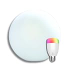 WOOX - Maavalaisin - Pallo 30cm RGB+W IP65