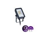 PHILIPS - Valonheitin - 1200LM CCT ON/OFF 10W SWB