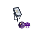 PHILIPS - Valonheitin - 2400LM CCT ON/OFF 20W SWB
