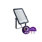 PHILIPS - Valonheitin - 18000LM CCT ON/OFF 150W SWB