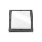 SG ARMATUREN - Seinävalaisin ulko - Bassi 10W 3K GR