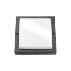 SG ARMATUREN - Seinävalaisin ulko - Bassi 10W 3K GR