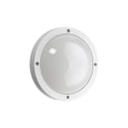 SG ARMATUREN - Seinä/kattovalaisin ulko Primo - Primo 1100 11.5W 3K HK VA