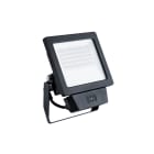 THORN ECO - Valonheitin - LEONIE VF IP65 40W 830/35/40