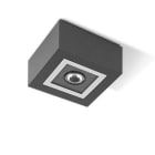 PERFORMANCE IN LIGHTING - Seinä/kattovalaisin ulko - MIMIK 10 CEILING C/I20 10W 4K