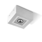 PERFORMANCE IN LIGHTING - Seinä/kattovalaisin ulko - MIMIK 10 CEILING C/I20 10W 4K