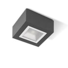 PERFORMANCE IN LIGHTING - Seinä/kattovalaisin ulko - MIMIK 10 CEILING TECH 10W 3K