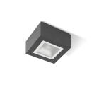 PERFORMANCE IN LIGHTING - Seinä/kattovalaisin ulko - MIMIK 10 CEILING TECH 10W 4K