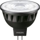 PHILIPS - Kohdelamppu - GU5.3 930 500lm 43=8W MR16 24D