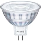 PHILIPS - Kohdelamppu - GU5.3 840 390lm 35=4W MR16 36D