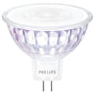 PHILIPS - Kohdelamppu - GU5.3 927 450lm 35=6W MR16 36D