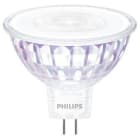 PHILIPS - Kohdelamppu - GU5.3 940 490lm 35=6W MR16 36D