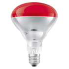 LEDVANCE - Lämpölamppu - IR BR40 250W 240V E27 Red