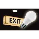 PEREL - Vakiolamppu - Led varavalolamppu E27 220VDC