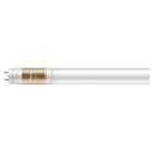 PHILIPS - LED-valoputki T8 - T8 1200mm 840 2500lm 16W IA