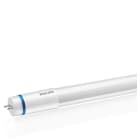PHILIPS - LED-valoputki T8 - T8 L900 840 1575lm 12W EM/230V