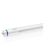PHILIPS - LED-valoputki T8 - T8 L900 865 1575lm 12W EM/230V