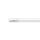 PHILIPS - LED-valoputki T8 - T8 600mm 840 1150lm 8W 230V EL