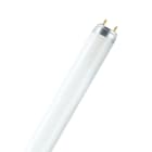 OSRAM OSRAM - Loistelamppu T8 - T8 L 18W/865 600 G13 1300lm