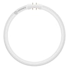 LEDVANCE - LED-valoputki T5 - T5 FC22 EXT 11,6W/865 2GX13