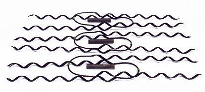 PIRKAN LINJATARVIKE - Kierukkaside, PAS, PIGEON - LT 35-50, KELT. (3PAR/PAKK)